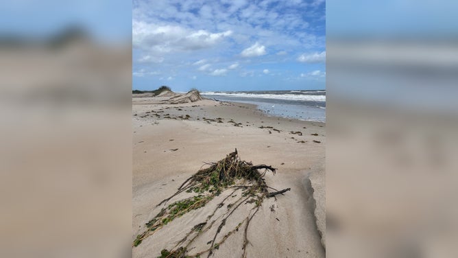 Dune erosion at Playalinda Beach after Hurricane Milton