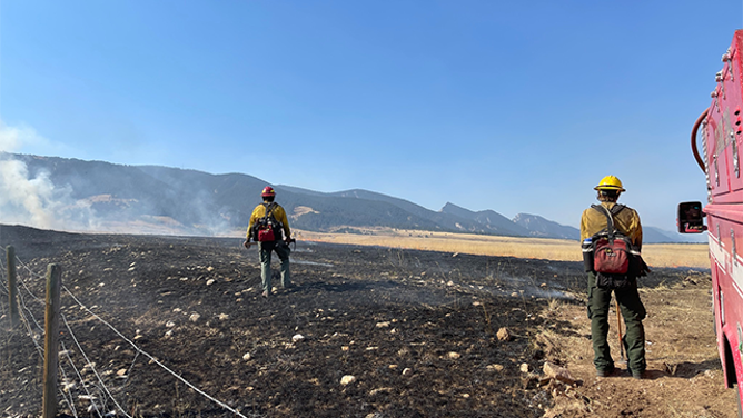 Firefighters are seen working the Elk Fire in Wyoming's Bighorn National Forest.