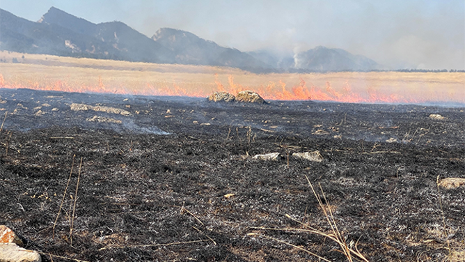 This image shows flames from the Elk Fire burning within Bighorn National Forest in Wyoming.