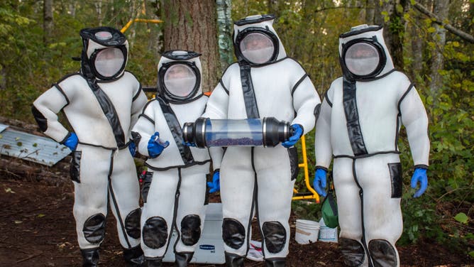 FILE- A group of Washington State Department of Agriculture workers stand together holding a cannister of trapped Northern Giant Hornets in 2020.