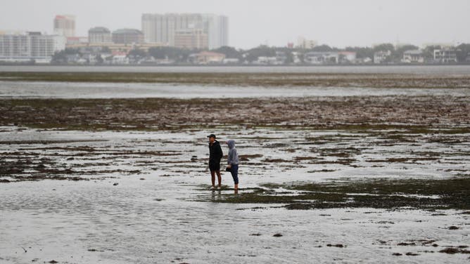 Hurricane Ian impacts on Tampa