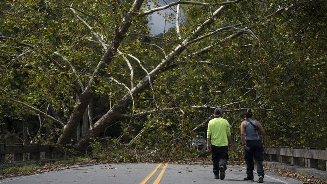 Community volunteers walk on a damaged bridge near downed trees in Black Mountain, North Carolina, on October 3, 2024, after the passage of Hurricane Helene.