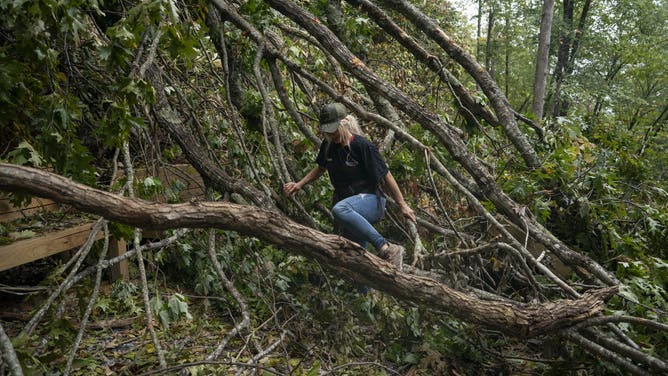 Downed trees after Helene in Old Fort, North Carolina.