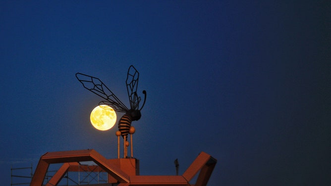 The full Hunter's Moon rises in the night sky on October 17, 2024 in Shuangyashan, Heilongjiang Province, China.