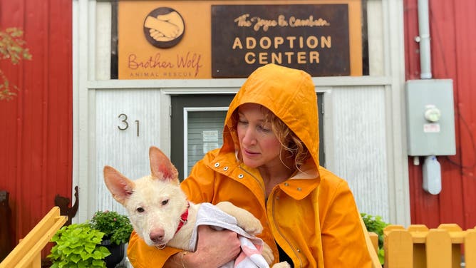 Dog is rescued ahead of Hurricane Helene