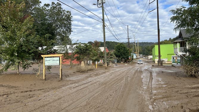 Asheville Animal Shelter Damaged in Helene's Floods
