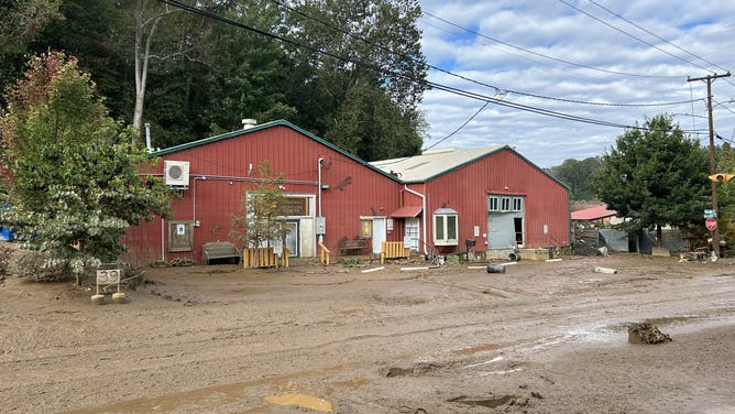 Asheville Animal Shelter Damaged in Helene's Floods