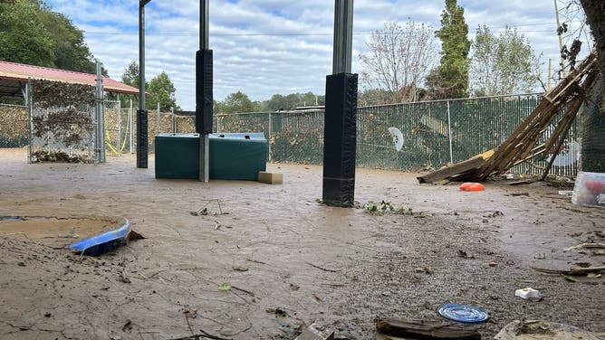 Asheville Animal Shelter Damaged in Helene's Floods