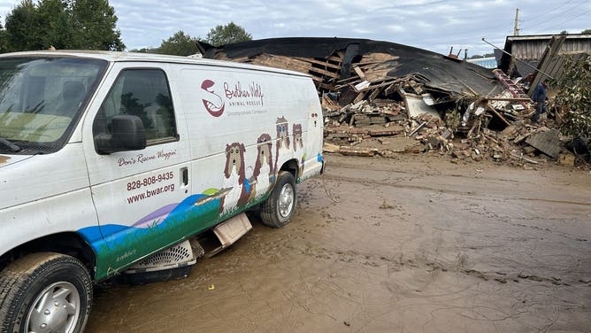 Asheville Animal Shelter Damaged in Helene's Floods