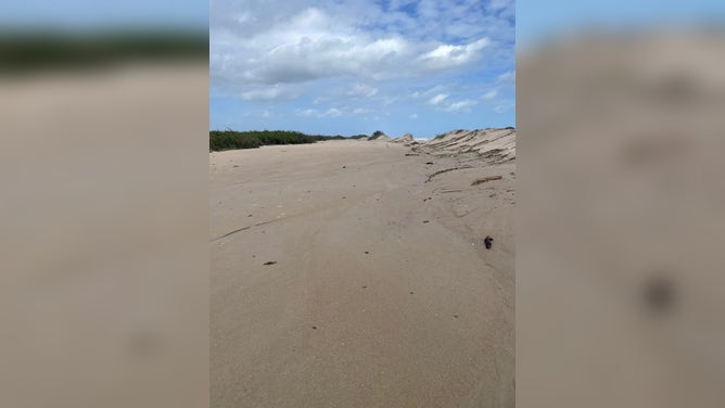 Sand over Playalinda Beach Road after Hurricane Milton