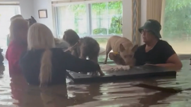 Women keep two dogs out of the floodwater.