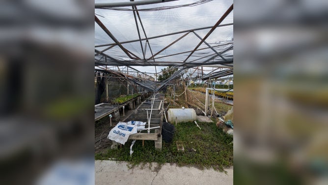 Extensive damage from Hurricane Milton at Ralph Taylor’s Nurseries in
Bradenton, Florida.