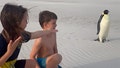 Australian family meets Antarctic penguin on beach very far from home: 'So very chill' - Fox News