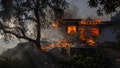 Explosive Southern California wildfire driven by powerful Santa Ana winds burns over 19,000 acres - Fox News