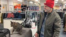 Coast Guard rescues sailor, cat from adrift sailboat in rocky weather off Alaska coast