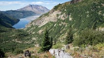 Researchers find gophers responsible for recovery of Mount St. Helens ecosystem