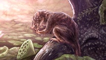 Scientists identify new mammal ‘swamp dweller’ that coexisted with dinosaurs