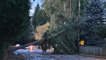 Bomb cyclone slams Seattle area with fierce winds leaving at least 2 dead, hundreds of thousands without power