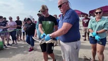 Endangered sea turtle returned to warm Gulf waters after incredible 5,000-mile journey from Europe