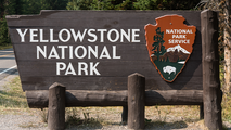 Colorado man banned from Yellowstone National Park after entering protected area