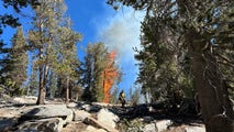 Yosemite National Park declares end of fire season