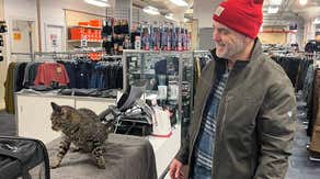 Coast Guard rescues sailor, cat from adrift sailboat in rocky weather off Alaska coast