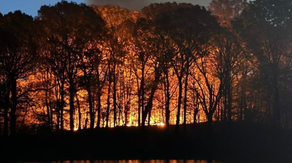 Brooklyn brush fire erupts during one of most extensive droughts in recent memory in New York