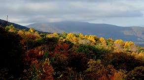 Virginia state parks using special technology to enhance fall foliage for colorblind visitors