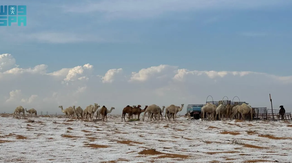 Photos: Hail blankets Saudi Arabian desert creating winter-like landscape