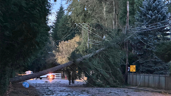 Bomb cyclone slams Seattle area with fierce winds leaving at least 2 dead, hundreds of thousands without power - Fox News