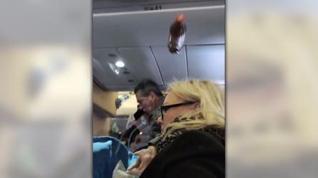 Travel terror: Passengers scream as Florida-bound plane hits severe turbulence