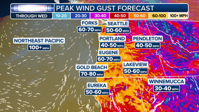 Strong winds will also kick in Tuesday evening as the storm moves in.