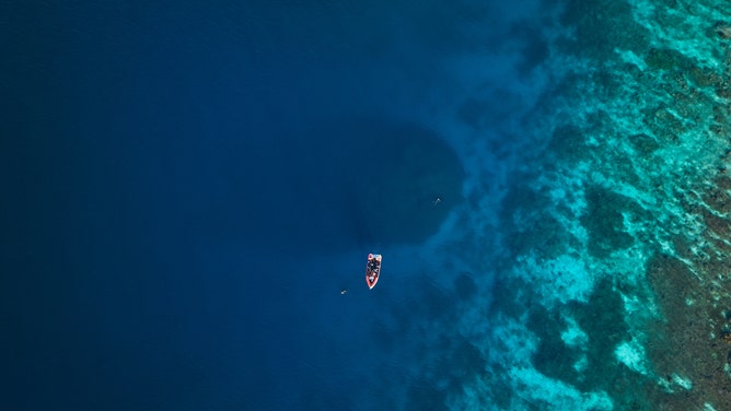 Large coral, possibly largest in the world, as seen from the air with Pristine Seas divers