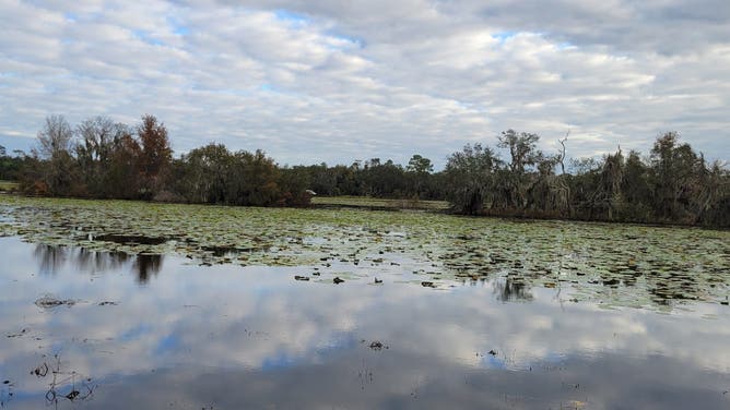 Flooded retention pond in David Musser's neighborhood in Orange City.