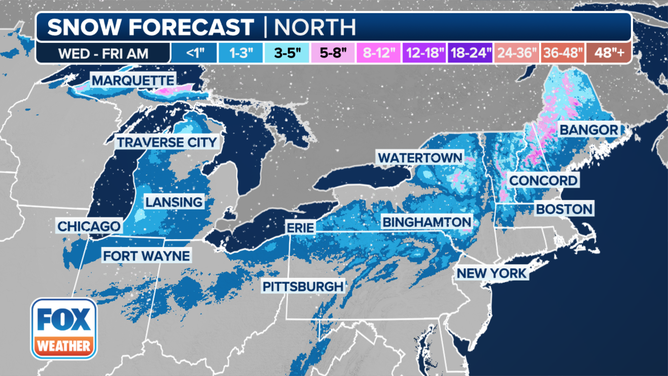 This graphic shows the forecast snow totals in the Northeast.