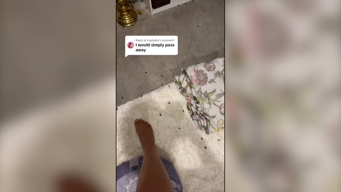 Tiny Frogs Take Over Newly-Moved Florida Resident's Garage