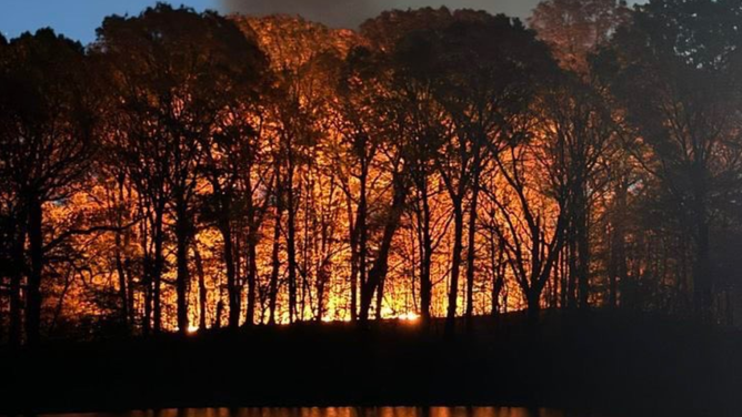 Brush fire reported in Brooklyn