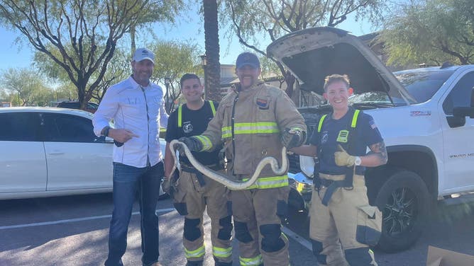 The pickup truck owner had driven the vehicle from Mesa to Scottsdale and noticed the snake's head poking out from under the truck after parking. The giant snake was placed in a box and turned over to the Arizona Herpetological Society for care.