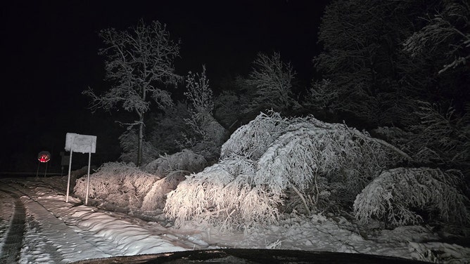 Trees are collapsing due to the weight of the snow in Gouldsboro, Pennsylvania, on Thursday.