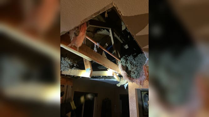 Tree falls into home in Issaquah, WA