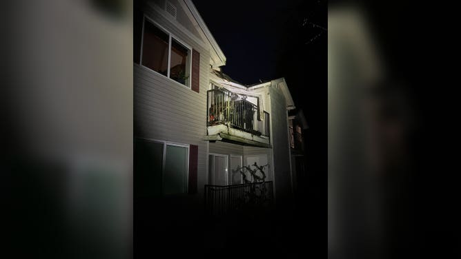 Tree falls into home in Issaquah, WA