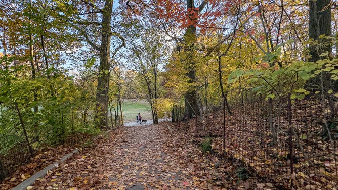 New York City Exteriors And Landmarks