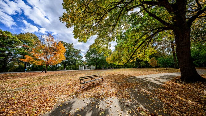 New York City Exteriors And Landmarks