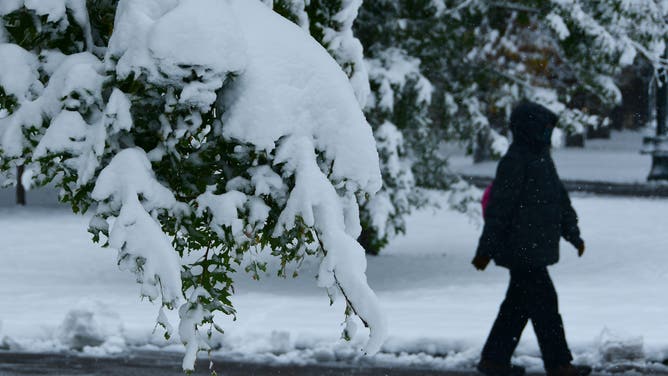 Snow Denver November 2024