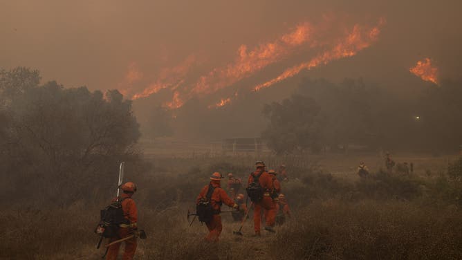 Inmate firefighters with the California Department of Corrections and Rehabilitation (CDCR) Fenner Canyon Conservation Camp walk on a trail while battling the Mountain Fire in Moorpark, Calif., on Thursday, Nov. 7, 2024.