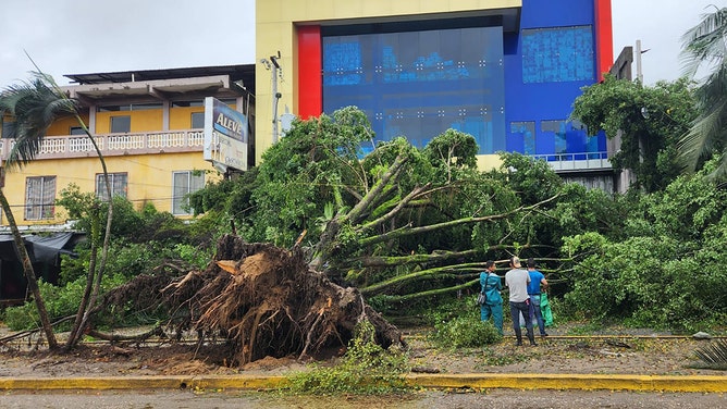 People stand next to fallen trees due to strong winds caused by Tropical Storm Sara in Tocoa, Honduras, on November 15, 2024.