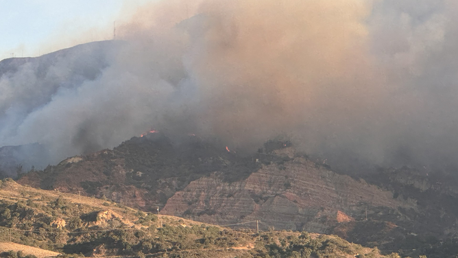 山火事から救出された馬たち