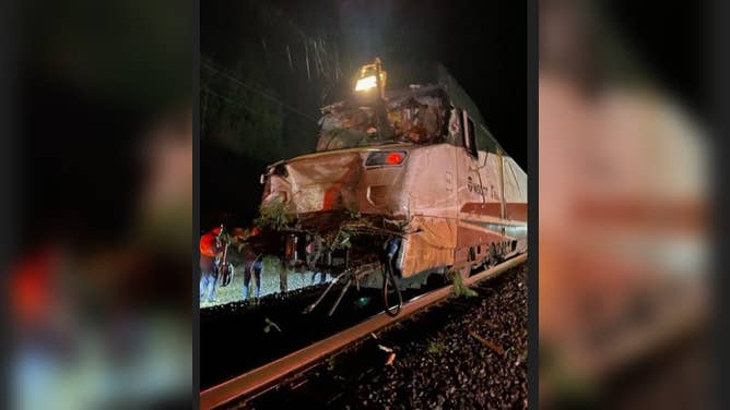 アムトラックの列車に木が突き刺さる