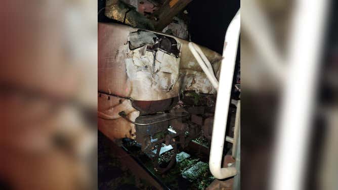 Tree impales Amtrak Train