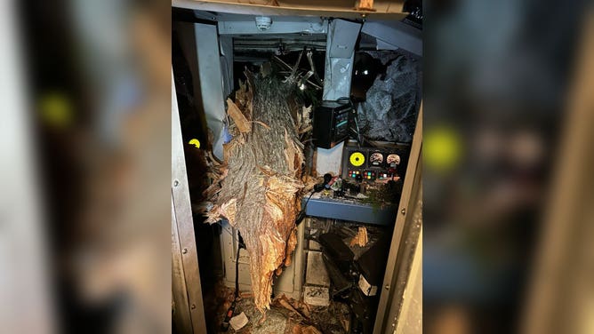Tree impales Amtrak Train